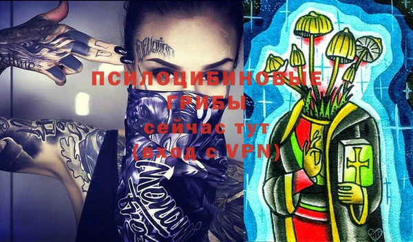 spice Алексин