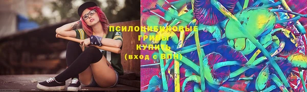 spice Алексин