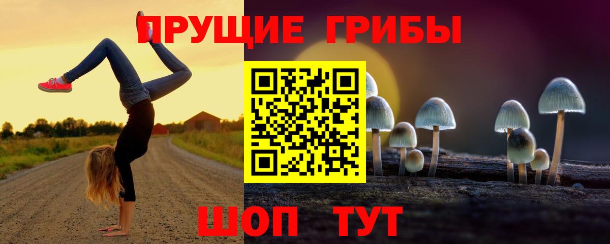 Новошахтинск  Псилоцибиновые грибы мухоморы  Вход с VPN 