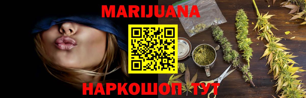 МАРИХУАНА сатива Новошахтинск